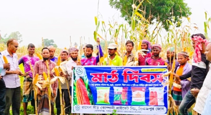 হাইব্রিড ভুট্টার মাঠ দিবস